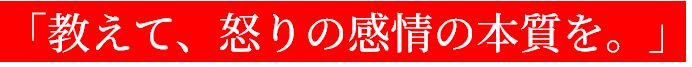 「教えて、怒りの感情の本質を。」